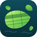 Duckweed